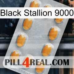 Black Stallion 9000 cialis3